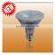 PAR30 LED Bulb