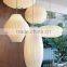 Silkworm Decorative Lights Cigar Pendant Lamps for Dining Rooms