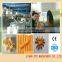 CE Approved High Quality Extruded Puffed Corn Snacks Making Machine