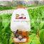 KNAPSACK POWER SPRAYER OSHIMA 768 CX