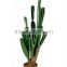 Artificial cactus/fake cactus ball/plastic cactus/fiber glass huge cactus