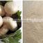 FDA approved manufacture Natural crab shell Chitosan,mushroom chitosan