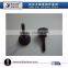 Hand Tighten Screw Manufacturer
