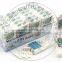 14g Cool Mint Pressed Candy / Intense Mint Candy in Bottle