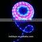 Holiday Decoration Waterproof 12V SMD 5050 Led Strip Light