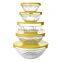 Embossed 5 Pcs Glass Salad Bowl Set Glass Food Container With Plastic Lids