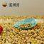 2016 Crop NON-GMO yellow Soybean / soy bean for oil/tofu/animal feeds organic
