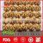 walnut kernel with good price