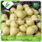 40-44 size of bulk ya pear