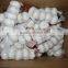 Natural Garlic peeling unpeeled fresh garlic import export wholesale
