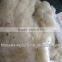 Chinese Wool Noil, 21.5mic, 20-40mm, Raw White Color, VM<5%,nice Quality