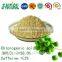 green bean coffee extract Chlorogenic acid ISO, GMP, HACCP, KOSHER, HALAL certificated.