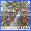 Africa layer chicken cage/laying battery hens cage/poultry farming equipment(Guangzhou Factory)