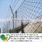 China supplier School playground sport chain link fence (anping factory)