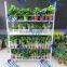 Hot Sale Greenhouse Cart / Flower Display Shelf