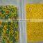 5400 pixel full color camera PET/PVC/ABS/PVB/HDPE/PLASTICS color sorter machine