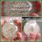 Custom shape artificial dandelion acrylic paperweight