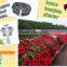 Cheap New Plastic Saddle Shaped Flower Planter PP Flower Pot