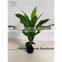 SAS201604 Cheap Artificial Green Plant Bonsai,Indoor Decor Green Plants