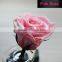 Hot Sale China Natural Luxury Box Flower Preserved Fresh Rose Flower