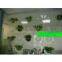 Acrylic wall screen