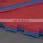 3cm EVA Taekwondo Tatami Puzzle Martial Arts Mat