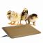 ABS IP67 18*13 inch Thermo-Chicken Heated Pad