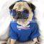 Senior brand Pet dog bulldog fleece thicker hoodie Clothes Fat dog warm coat