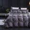 Factory Price Cotton Pleated Goose New Style Soft Hot Sale Quilt 300Gsm,  Or Customized