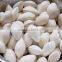Pine Nut Shell Opening Machine|Ginkgo Hard Shell Breaker and Cracker