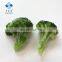 2020 BRC Certified IQF Bulk Frozen Broccoli with Competitive Price
