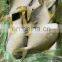 china iqf golden pomfret frozen golden pompano frozen golden pomfret fish