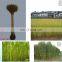 Best price decorticating fiber machine farm use hemp jute decorticator machine banana tree stem fibre extracting