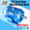 1.1kw 6 pole YE3/IE3 series three phase high efficiency motor