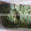 Best price of frozen seasoned wakame