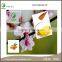 High Quality sweet almond oil