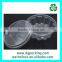 healthy Plastic fruit tray with surface company brand embossing&Blueberry tray