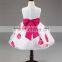 Hot selling wholesale boutique flowers girls frocks designer one piece party dress TR-WS12