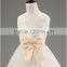 Lastest wholesale elegant girls chiffon party hand embroidery dresses TR-WS31