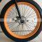 fat bike, brushless motor electric fat bike 48v 1000w ,electric fat tire bike