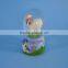 Unique Funny resin animal glass snow globe