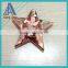 Fashion metal iron Christmas led lamp star decoration