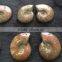 Natural Rainbow Ammonite Fossils Pendants Stones/Fossils