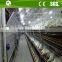 H type q235 galvanized steel automatic battery cage for rearing pullets