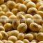 We are supplying yellow soybeans with best price for sale