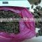 we are supplying the newest crop Tsaoko with gigh quality from CHINA