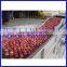 Fully Automatic Pomegranate Washing Machine