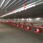 broiler farm building house