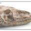 decorative resin mini cute dinosaur head skeleton fossil