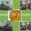 Best Quality Small Scale Paintball Machine